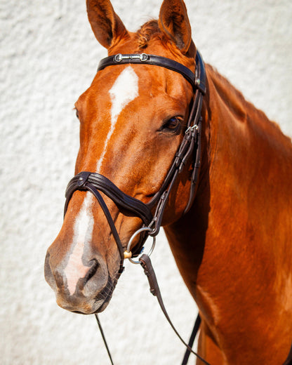 Chestnut Horse with ECORIDER Snaffle Browband Brown Eco925 from Equiflair: Diamante Bit, Comfortable Leather
