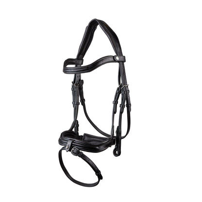 Ecorider Kilkenny Black Horse Bridle - Anatomic Padded Leather Bridle for Riding
