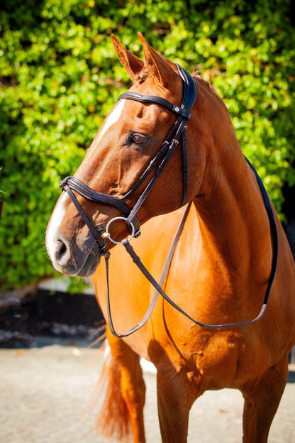Brown horse wearing a black ECORIDER Kilkenny V2.0 leather bridle. Anatomical padded headpiece for comfort.