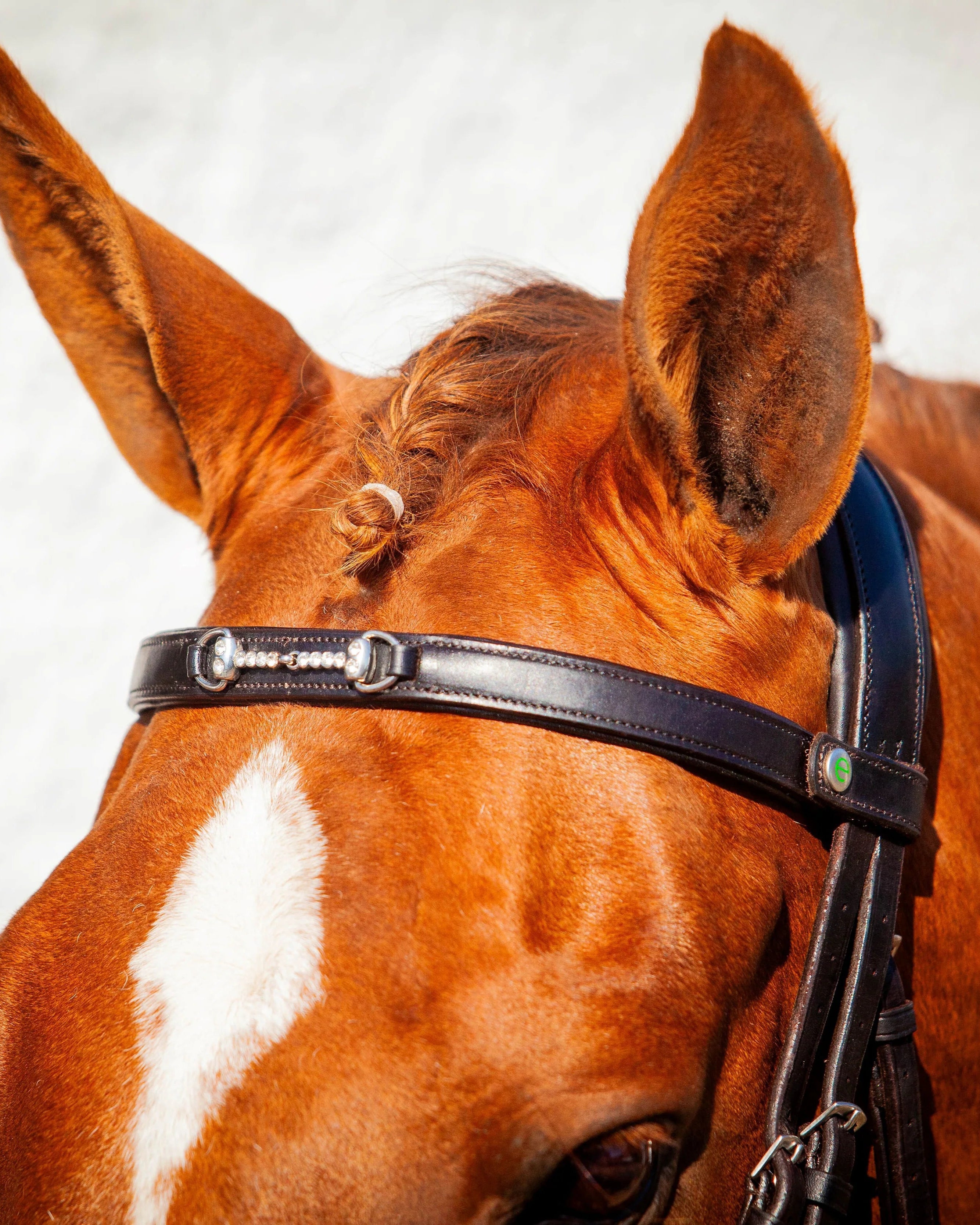 Chestnut Horse with Diamante Browband by Equiflair. Close up on head, ears, and bridle.