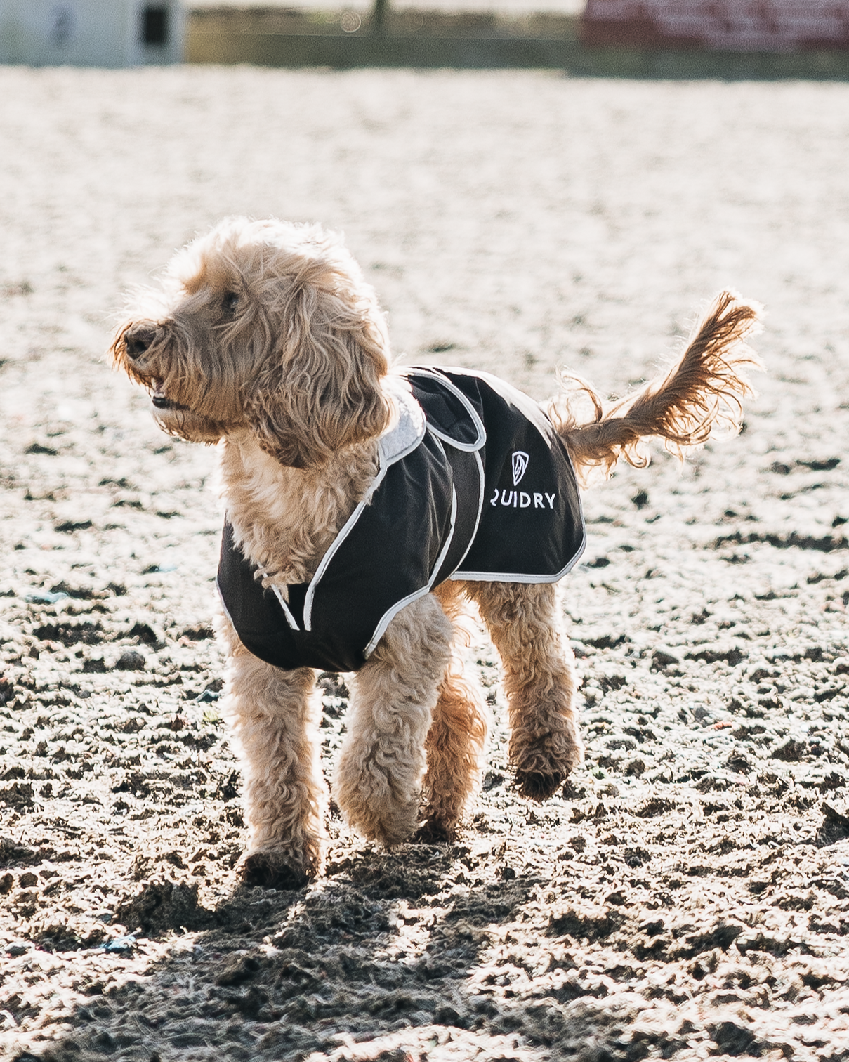 Equiflair Waterproof Dog Coat - Black & Grey Fleece Lined Quidry Coat | Reflective, Harness Access | Warm Winter Protection