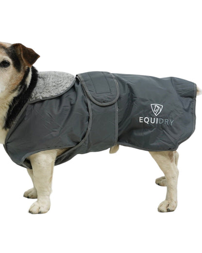 Equidry Waterproof Dog Coat Grey - Warm Fleece Lined Jacket Reflective Winter Protection Harness Access Pet Apparel