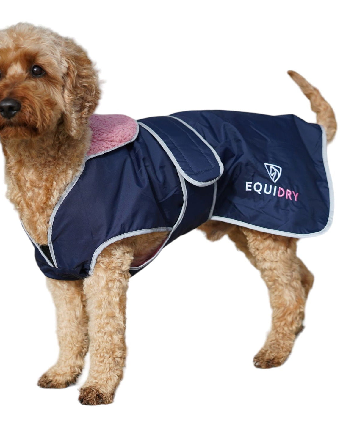 EQUIDRY | Dog Coat | Navy/Pink - EQUIDRY