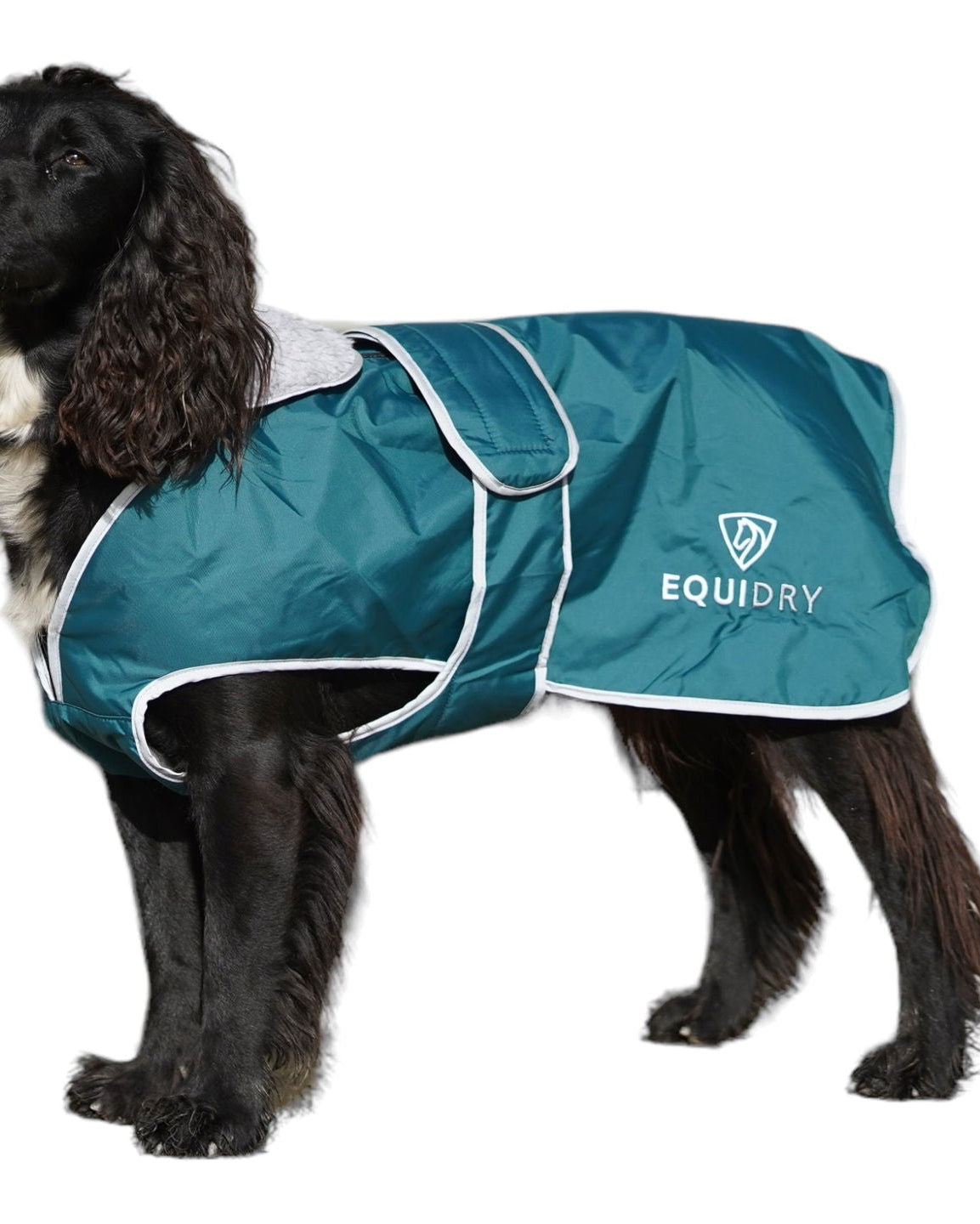 EQUIDRY | Dog Coat | Teal/Grey - EQUIDRY