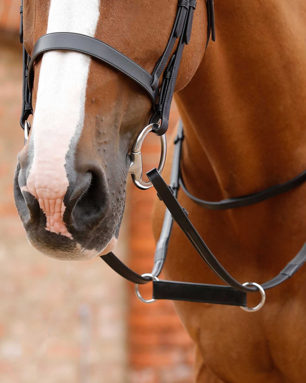 Premier Equine Esperia Irish Martingale Black