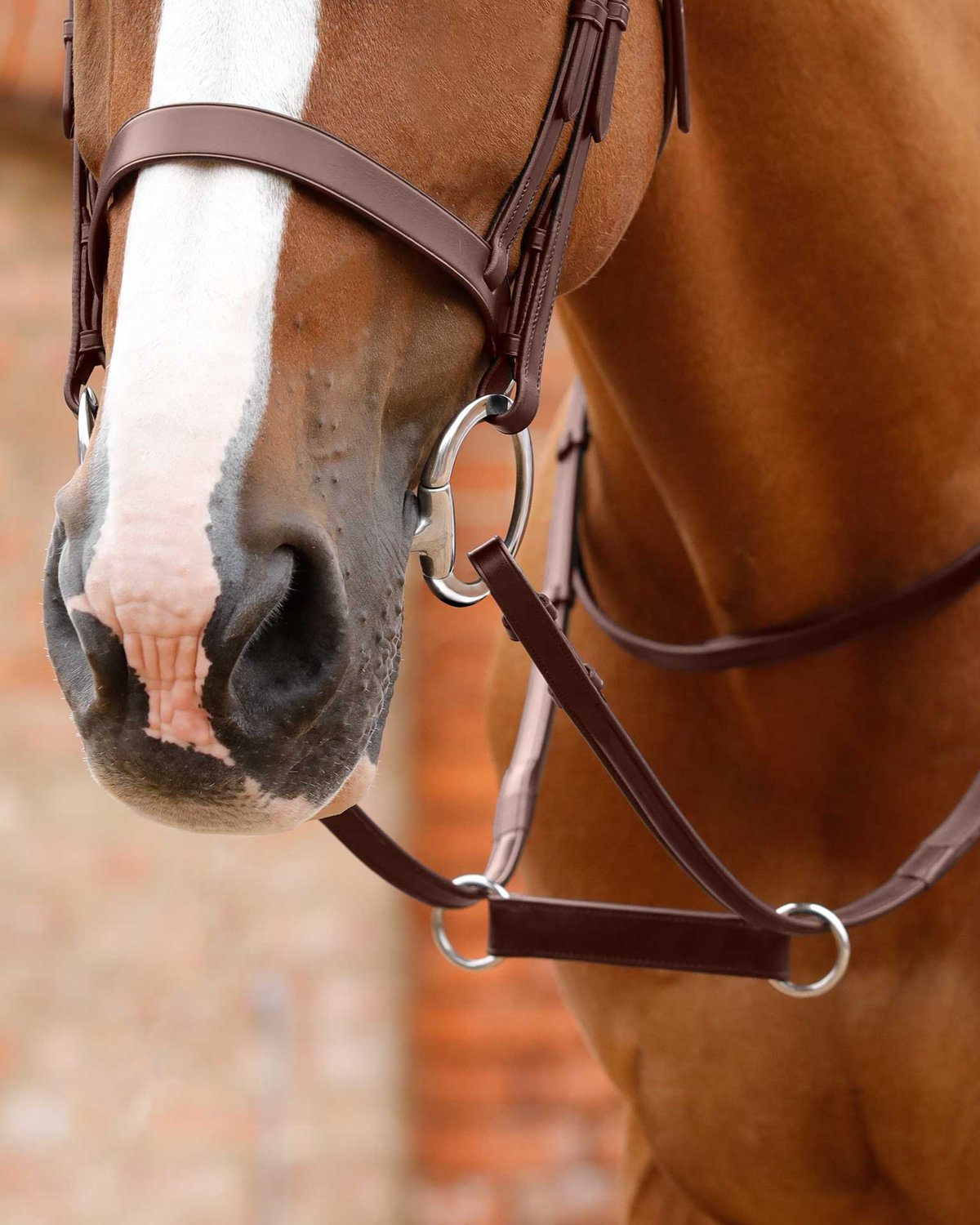 Premier Equine Esperia Irish Martingale Brown
