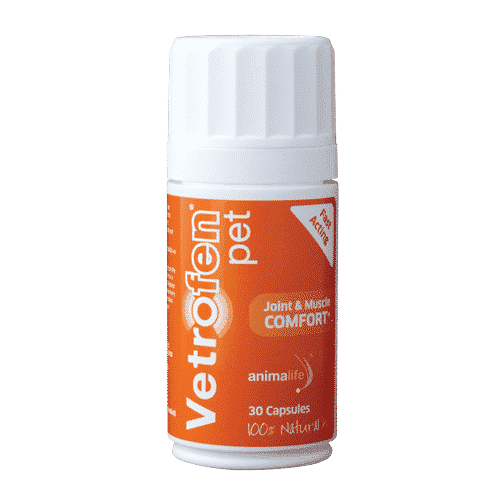 Vetrofen Pet - Natural Dog Joint & Muscle Comfort Supplement | Animalife
