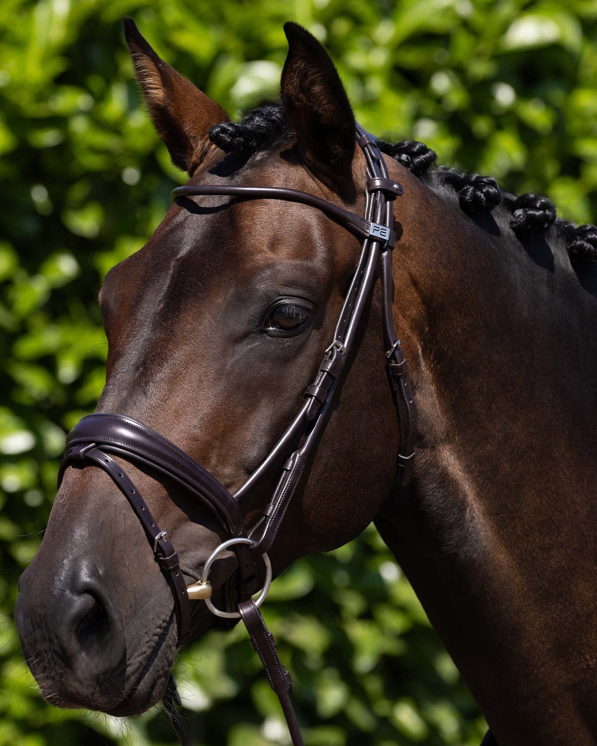 PREMIER EQUINE FINETTI Rolled Leather Snaffle Bridle Brown: Anatomical horse bridle with rolled detailing for comfort & style. Equestrian Equipment