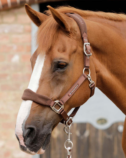 Chestnut Horse Wearing Premier Equine Fleece Padded Head Collar Brown | Equiflair