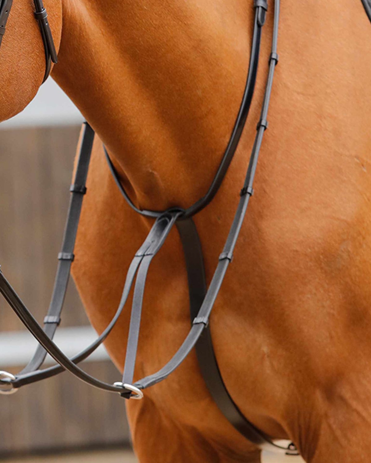 Premier Equine Fuscaldo Running Martingale Black