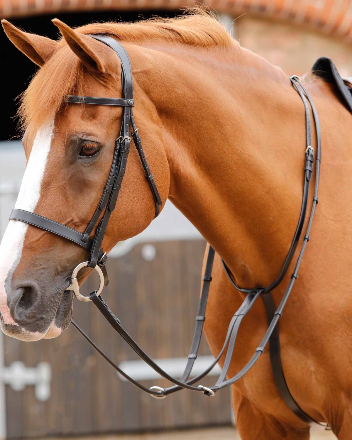 Premier Equine Fuscaldo Running Martingale Black