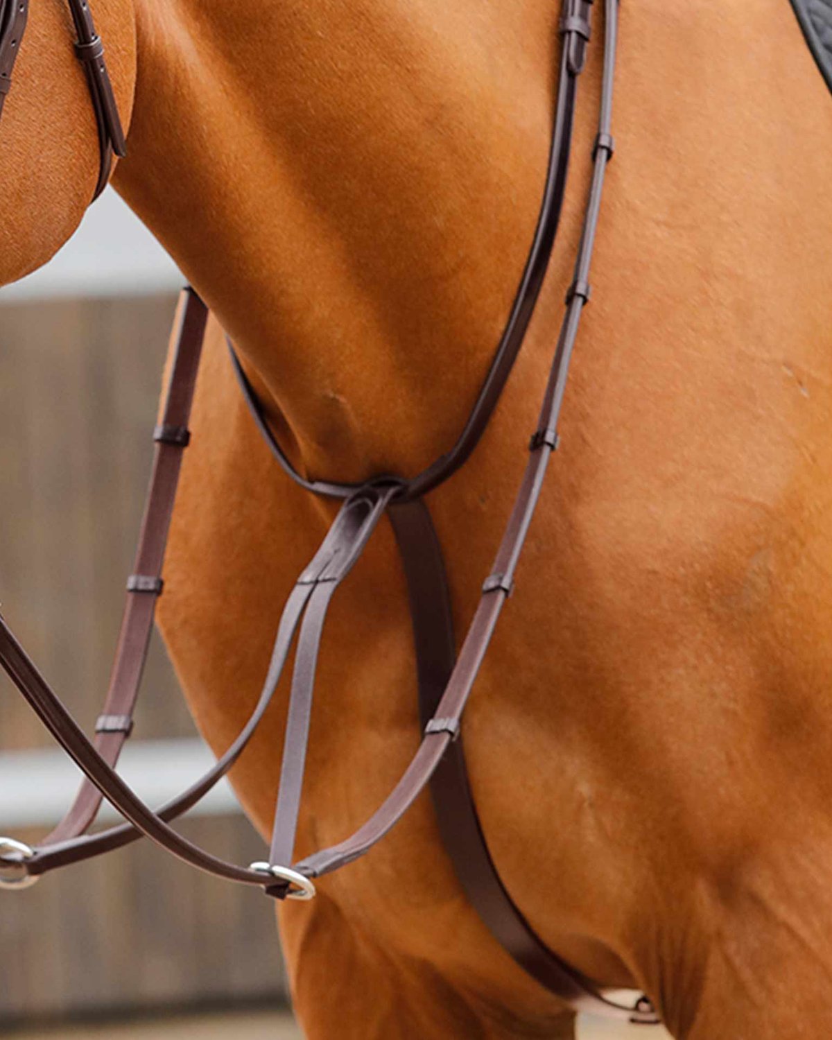 Premier Equine Fuscaldo Running Martingale Brown