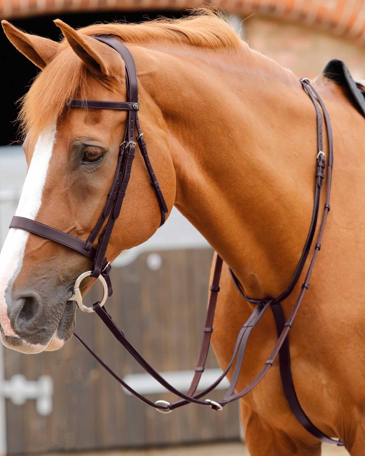 Premier Equine Fuscaldo Running Martingale Brown