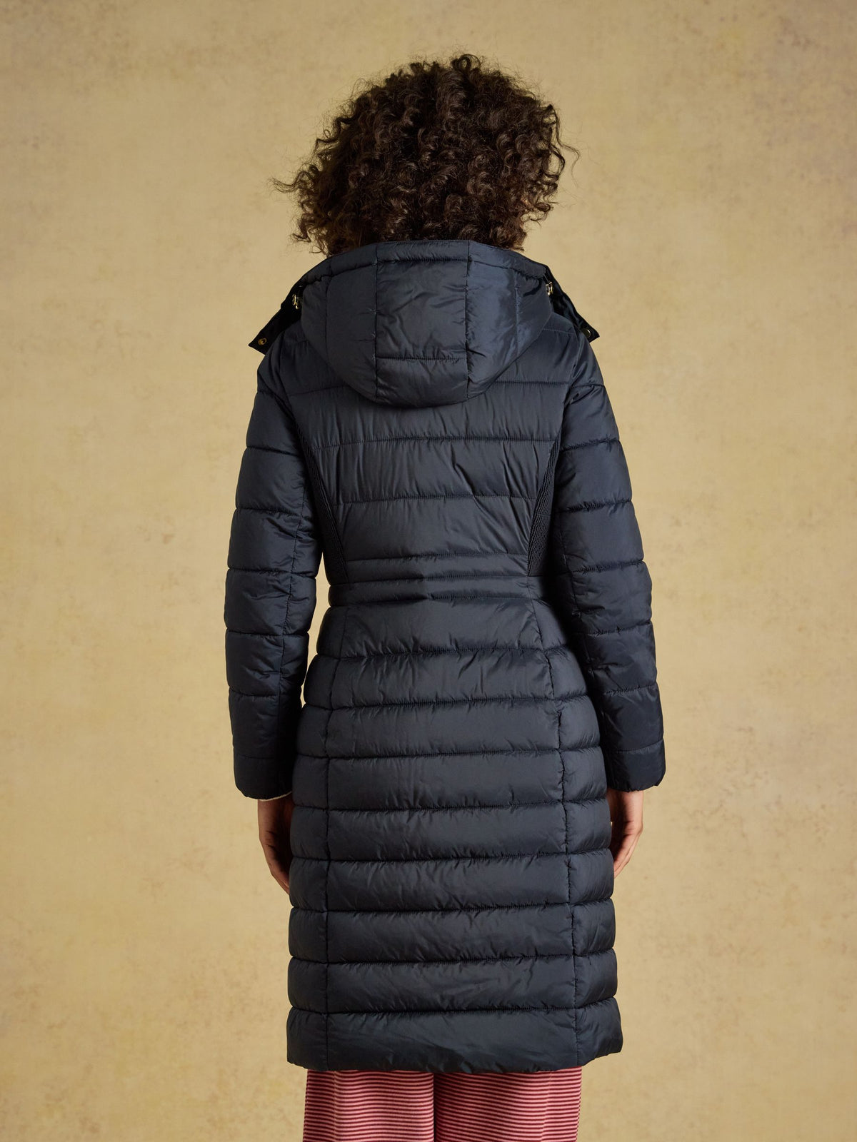 Women's Joules Navy Windborough Padded Coat
