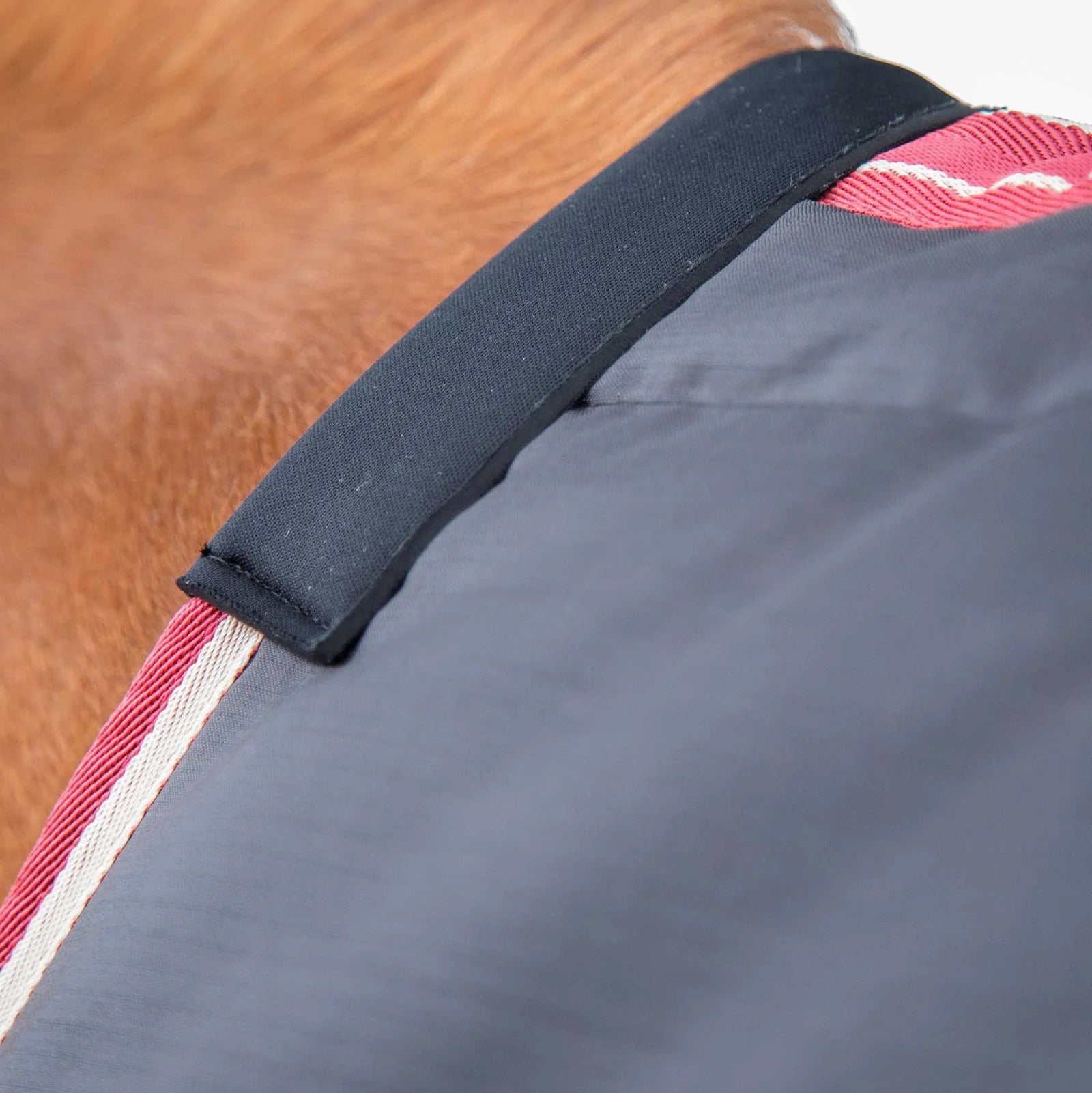 PREMIER EQUINE Garissa Stable Rug 100G Black - Horse Rug, Lightweight, Stable Wear, Horse Clothing, Breathable, 420D Ripstop