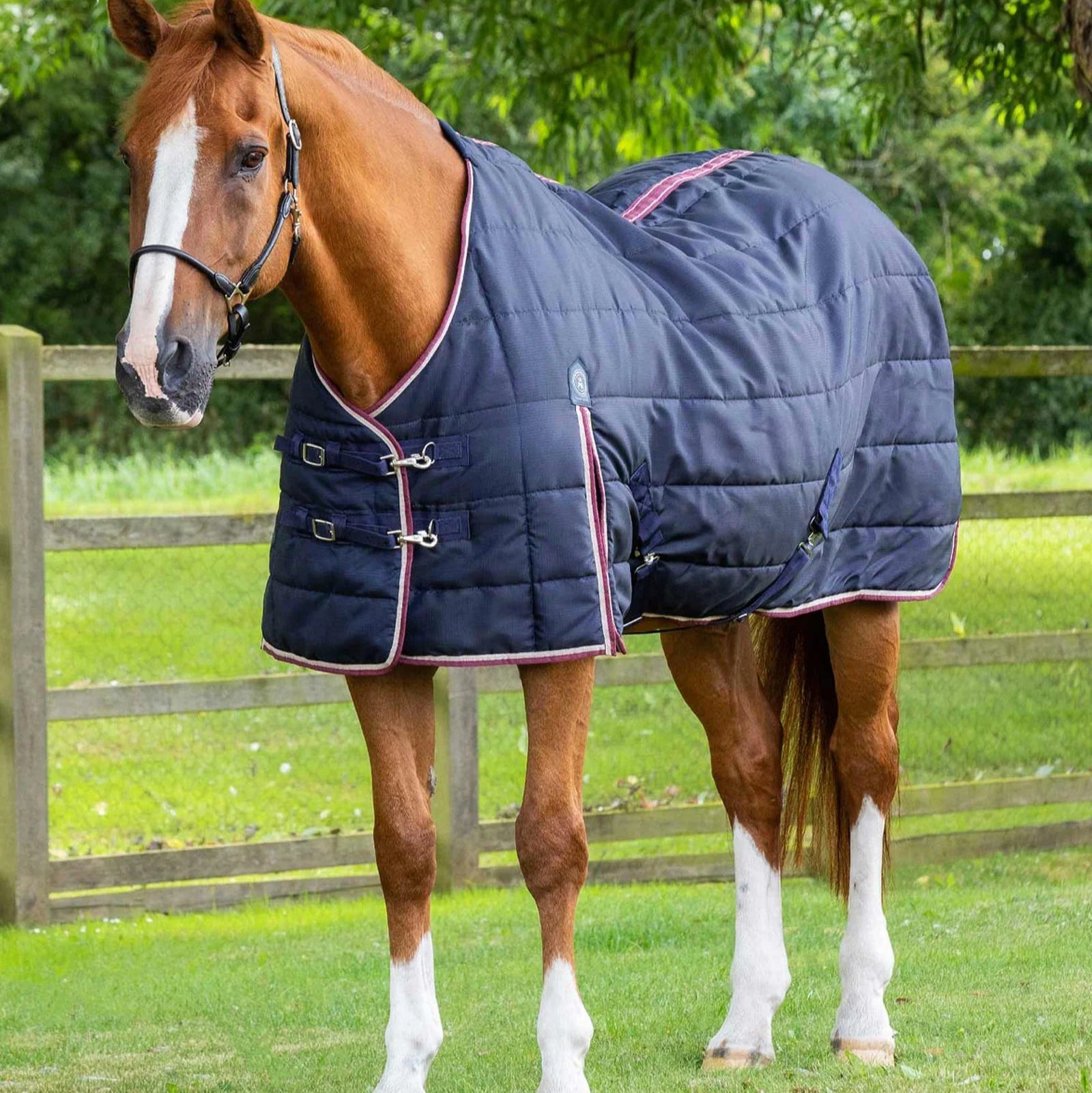 PREMIER EQUINE GARISSA Stable Rug 100G NAVY - Lightweight Horse Blanket on Chestnut Horse