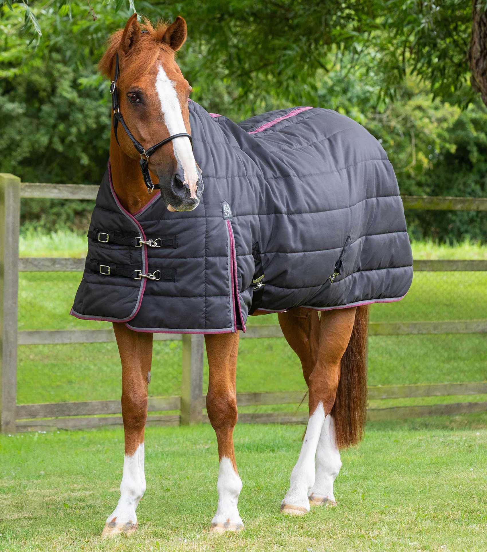 Premier Equine Garissa Black Stable Rug 200g on Chestnut Horse in Paddock | Warm Horse Blanket