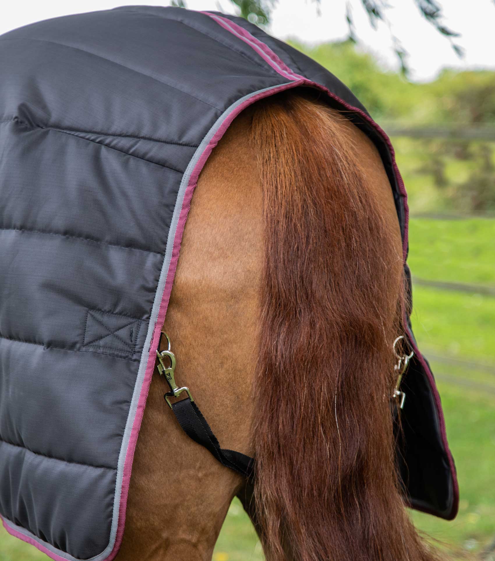 PREMIER EQUINE Garissa Stable Rug 200G Black - Equiflair horse blanket for warmth and comfort. Breathable medium weight horse rug.