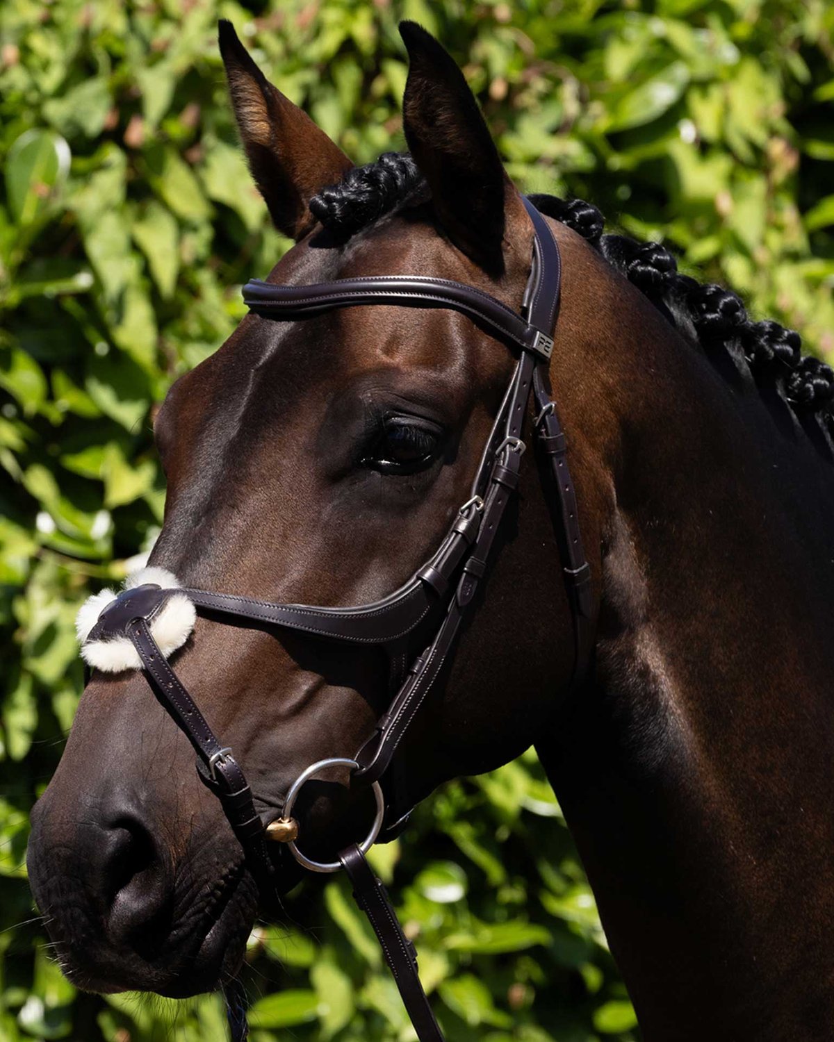 PREMIER EQUINE Glorioso Grackle Bridle - Brown Italian Leather Anatomical Horse Bridle by Equiflair