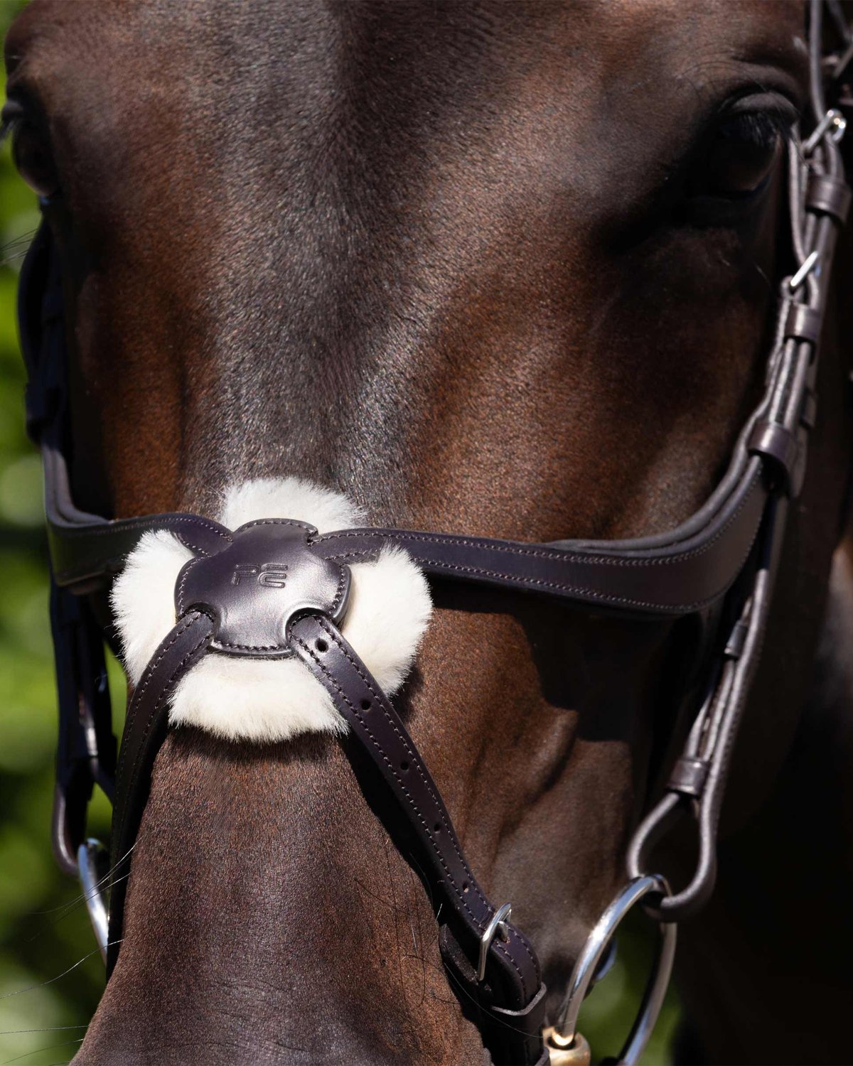 Premier Equine Glorioso Grackle Bridle - Italian Leather Anatomical Horse Bridle with Merino Wool Padding