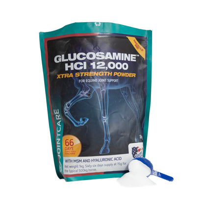 Glucosamine HCI 12,000 Joint Supplement