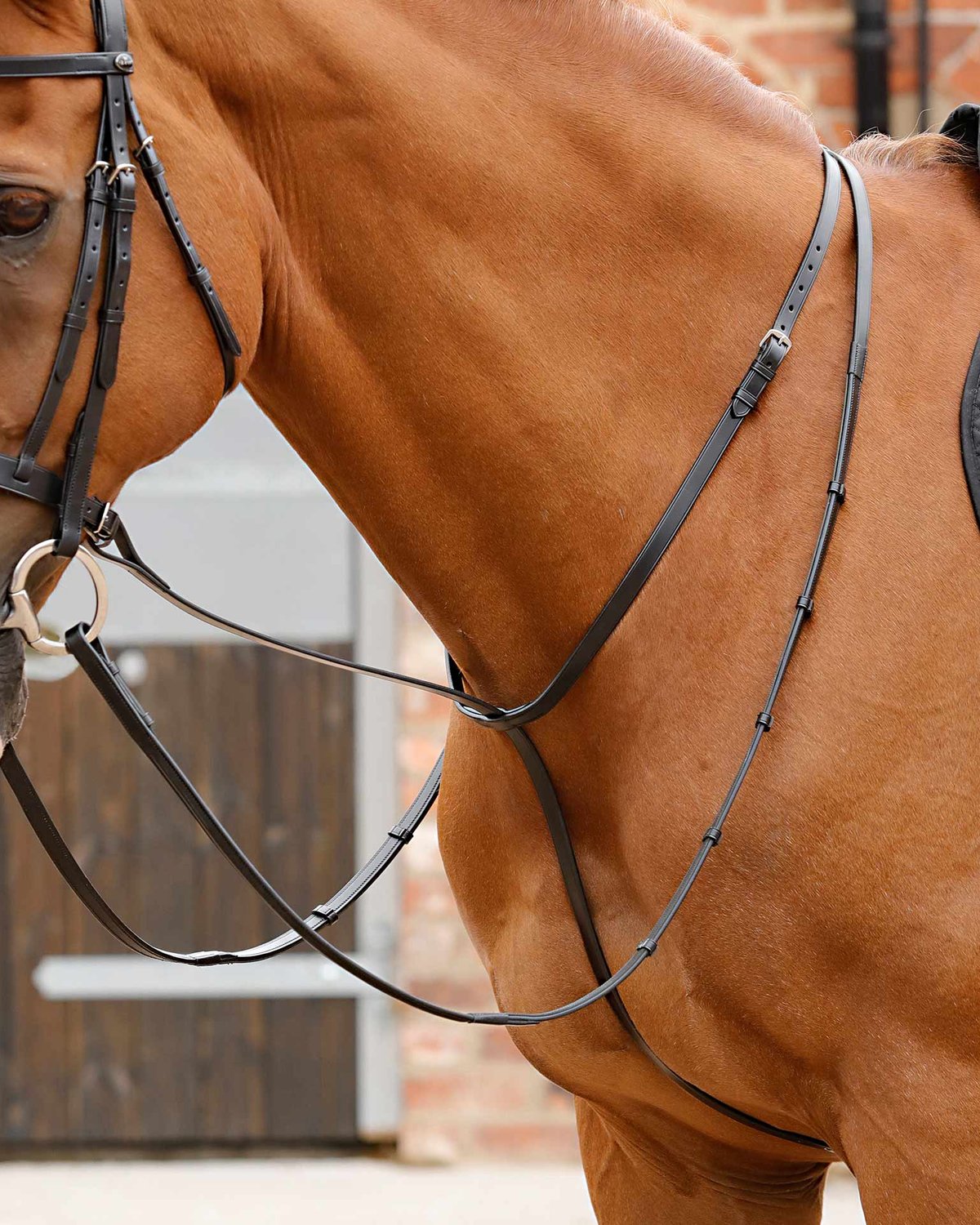 Premier Equine Gressan Standing Martingale Black