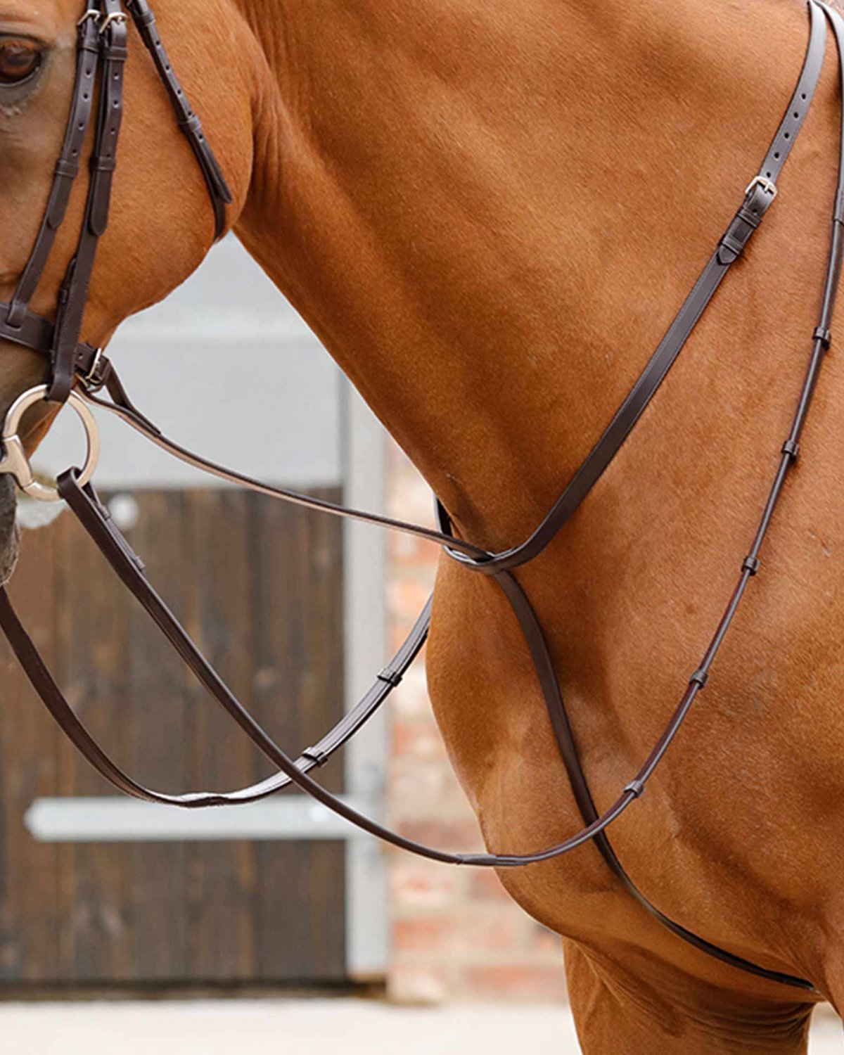 Premier Equine Gressan Standing Martingale Brown