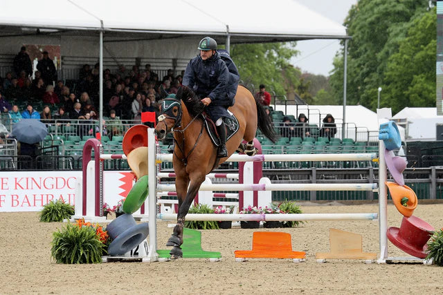 Horse Jumping Competition: Equestrian Rider in Action Wearing Waterproof EQUIDRY Coat Over Colorful Fence