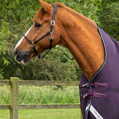 Premier Equine Buster Hardy 100g Half Neck Turnout Rug Purple