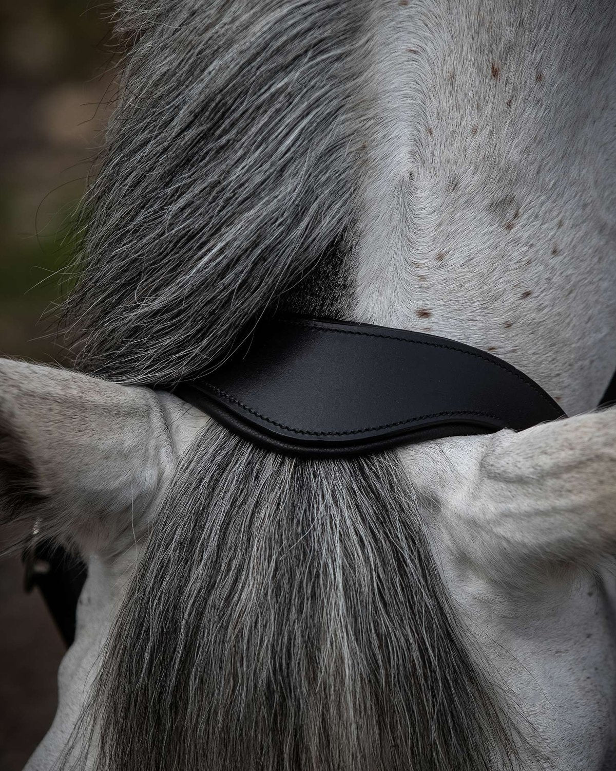Premier Equine Hennaroso Rolled Anatomic Leather Head Collar Black