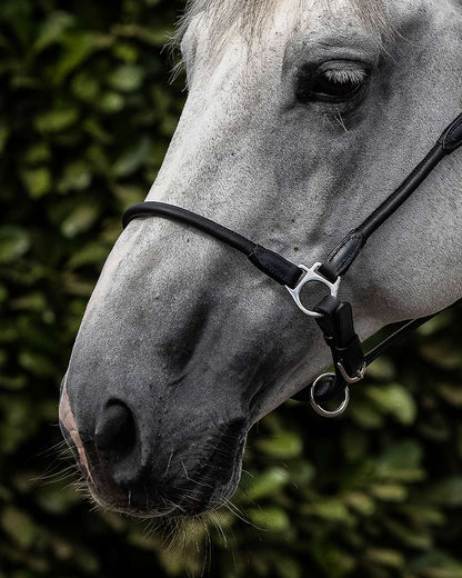Black Leather Horse Headcollar - Equiflair: Rolled Anatomic Head Collar