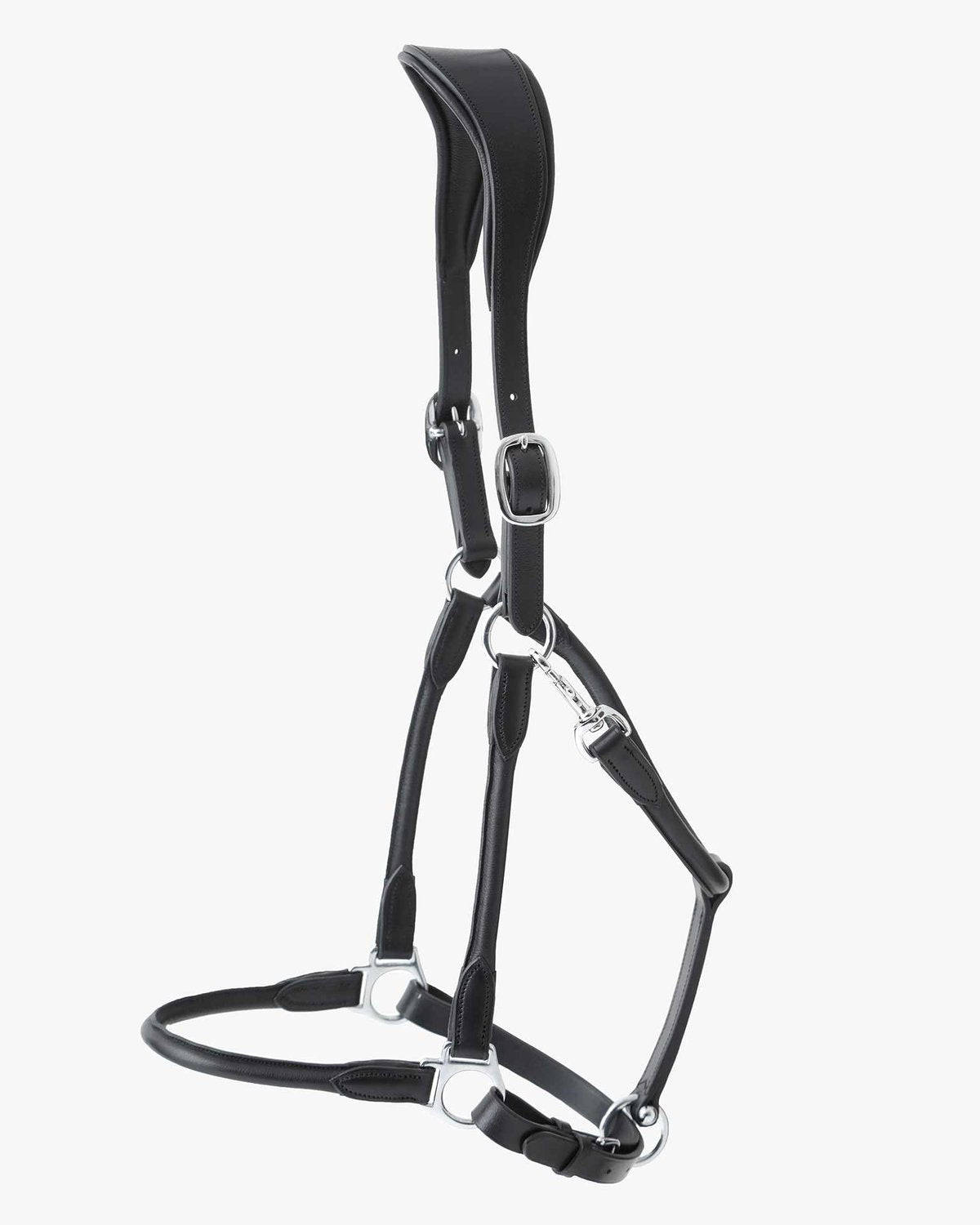 Premier Equine Black Leather Head Collar: Rolled, Anatomical Horse Halter with Stainless Steel Buckles, Adjustable Noseband