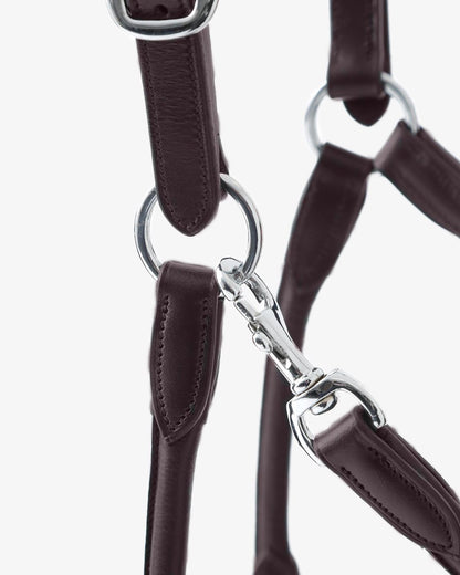 Premier Equine Hennaroso Brown Leather Headcollar: Anatomic Design, Rolled Leather Details, Stainless Steel Buckles