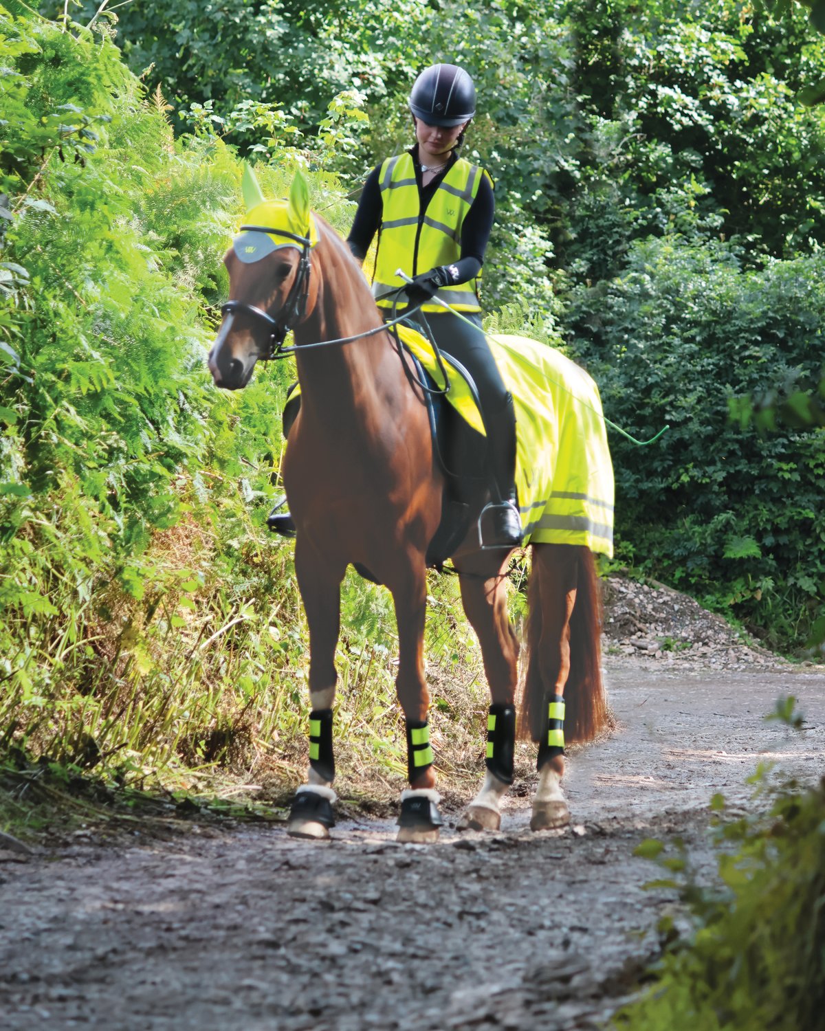 Horse and Rider with Woof Wear Hi Vis Exercise Sheet from Equiflair, Hi Viz Yellow Reflective Safety Gear