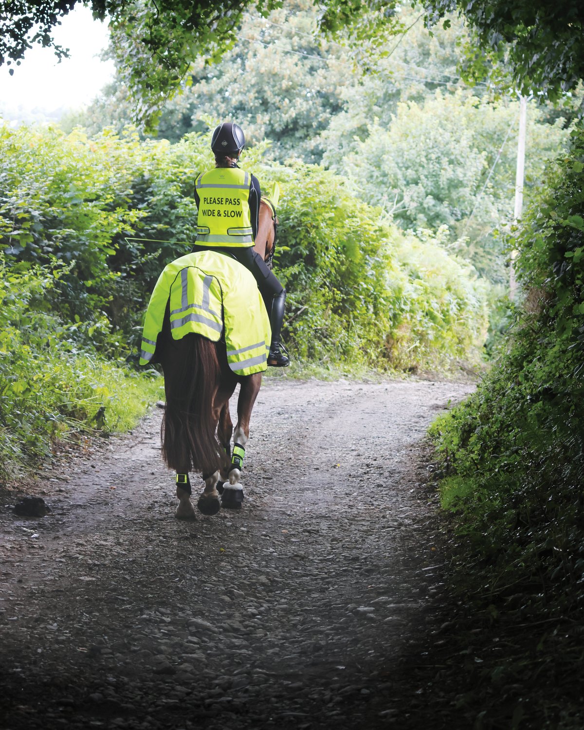 Woof Wear Hi Vis Exercise Sheet: Horse Riding Safety, Reflective, Hi Viz Yellow