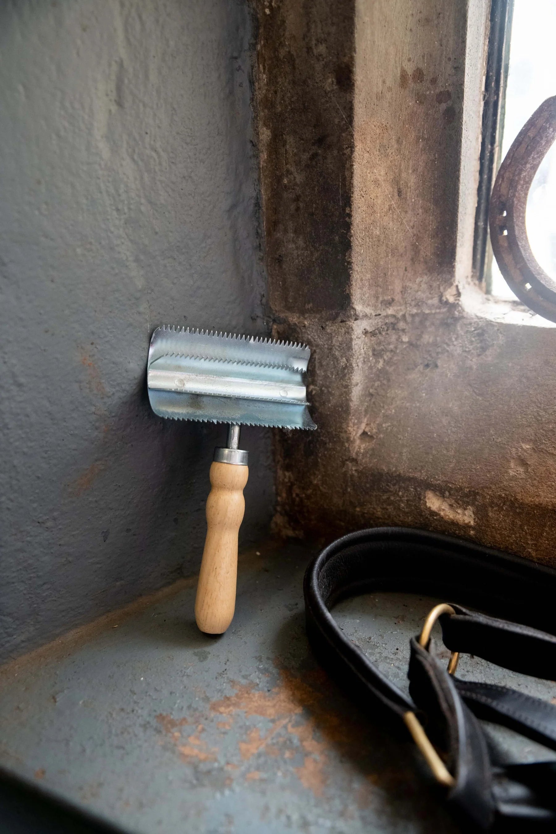 BORSTIQ Metal Curry Comb for Horse Grooming | Equiflair