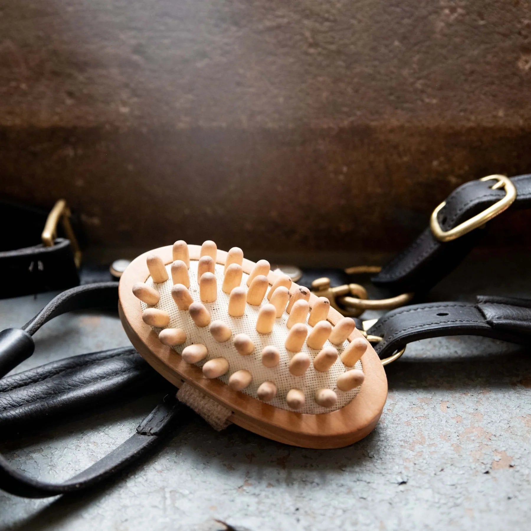 Borstiq Massage Brush