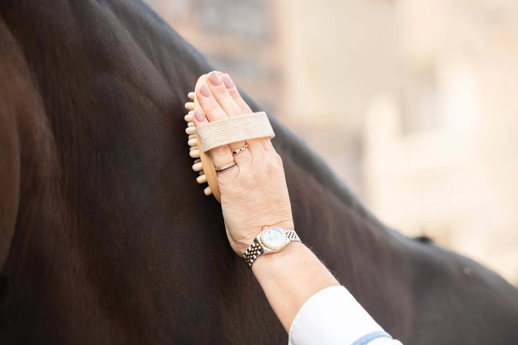Borstiq Massage Brush