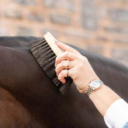 Horse grooming with Borstiq Banana Arenga brush: Natural bristle grooming for horses. #HorseGrooming #Borstiq #ArengaBrush