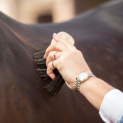 Horse grooming with Borstiq Banana Arenga brush: close-up of brush on horse coat