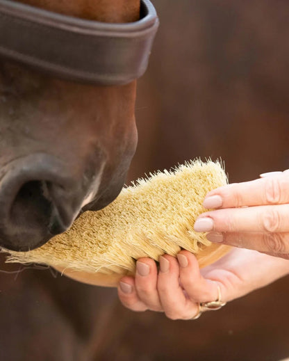 Borstiq Banana Mexican Fibre Brush