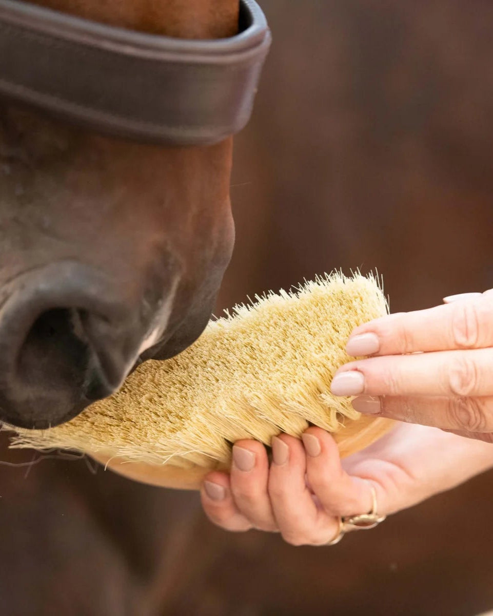 Borstiq Banana Mexican Fibre Brush