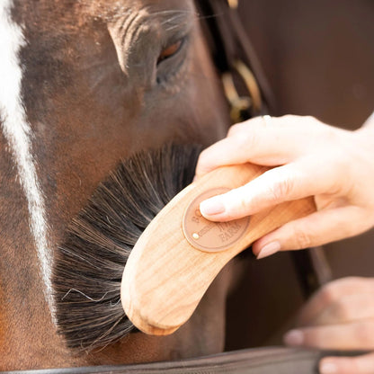 Horse Grooming with Borstiq Banana Finishing Brush - Equiflair Quality Brush