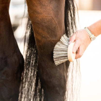 Borstiq Shaped Medium Brush: Grooming a horse's coat with polypropylene bristle brush, available at Equiflair.