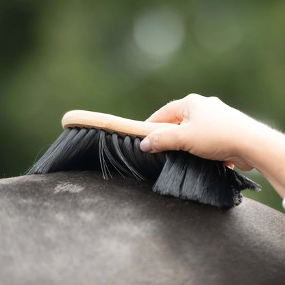 Borstiq Shaped Soft Flick Brush on Horse: Grooming & Animal Care. Buy best Horse grooming tools online.