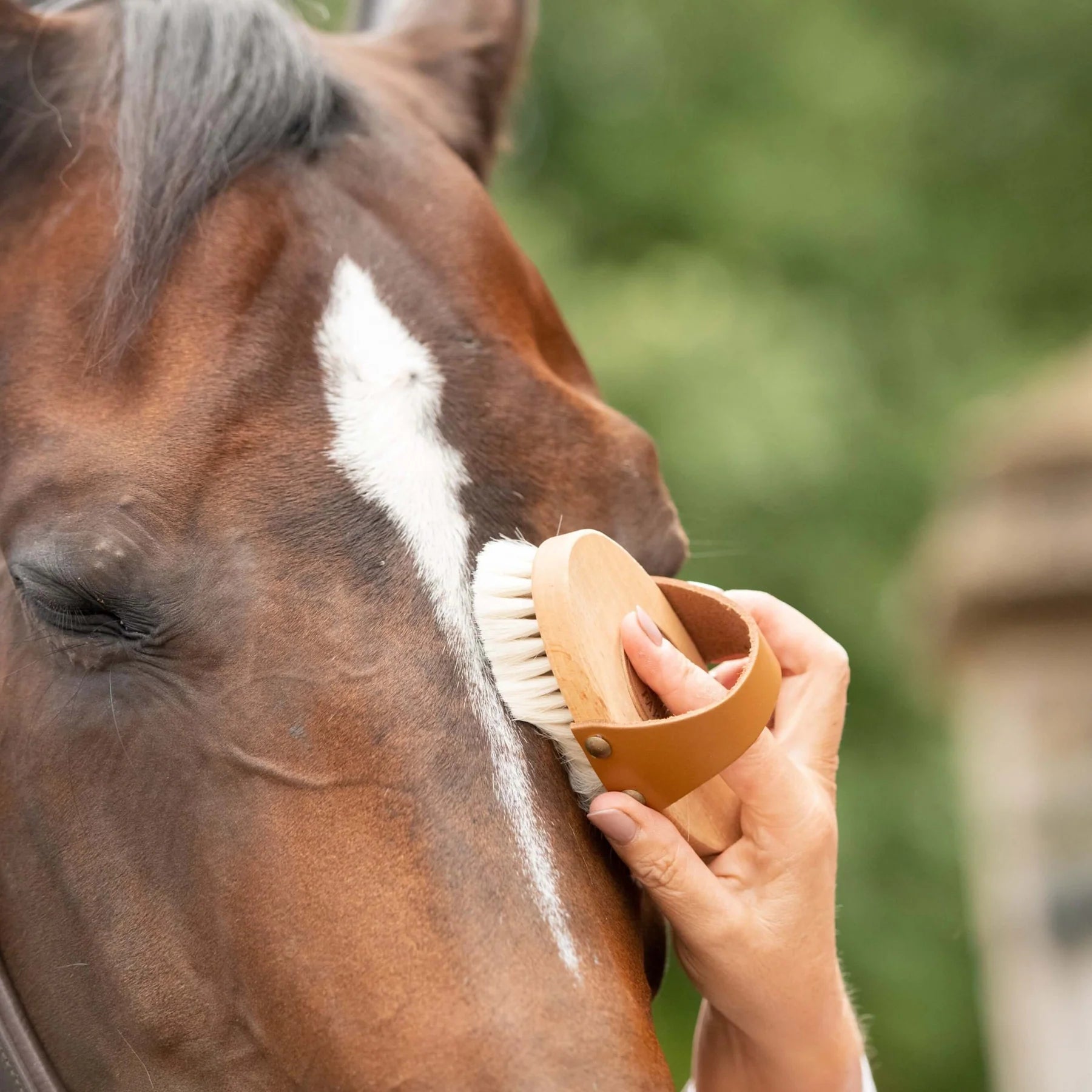 Borstiq Goat Hair Body Brush
