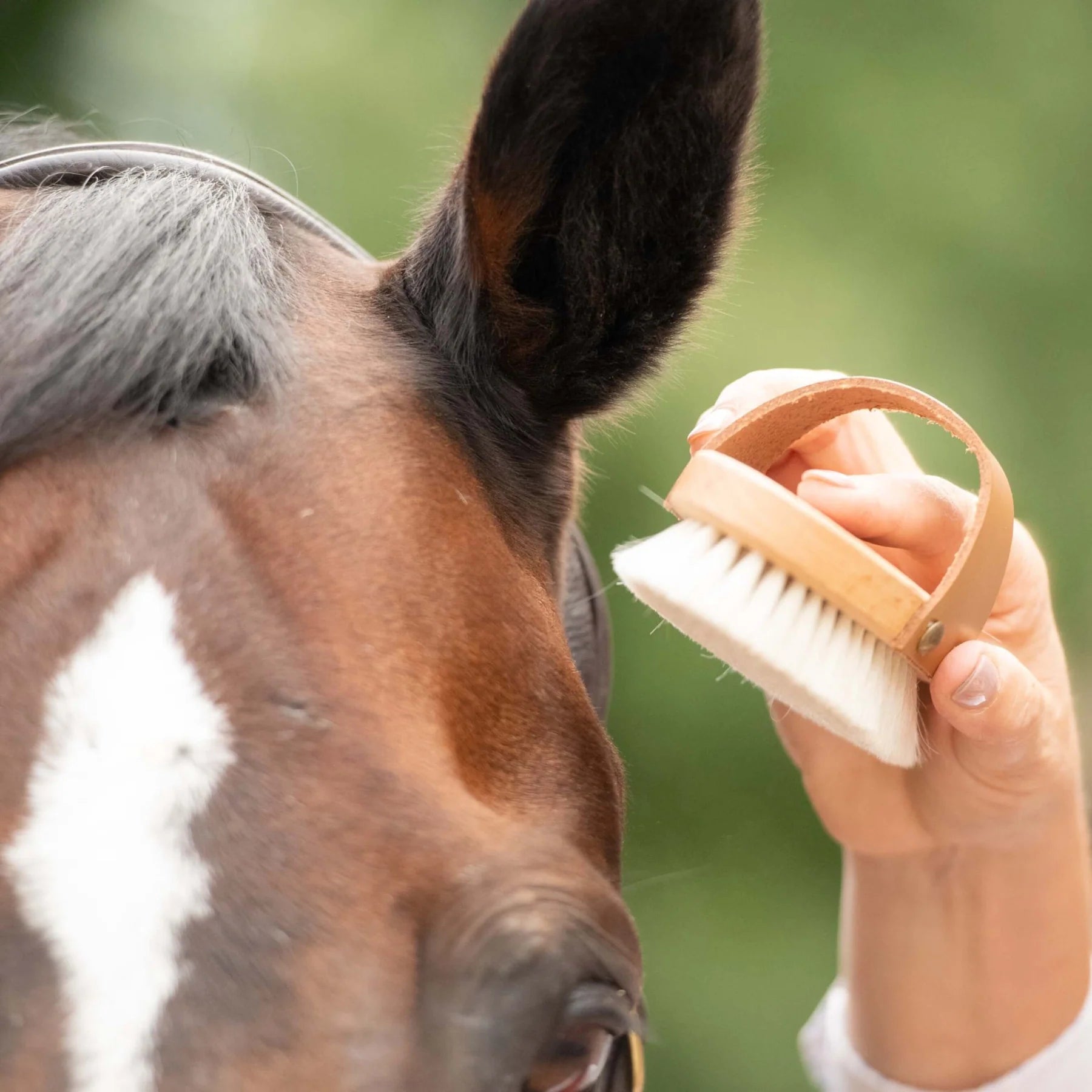 Borstiq Goat Hair Body Brush