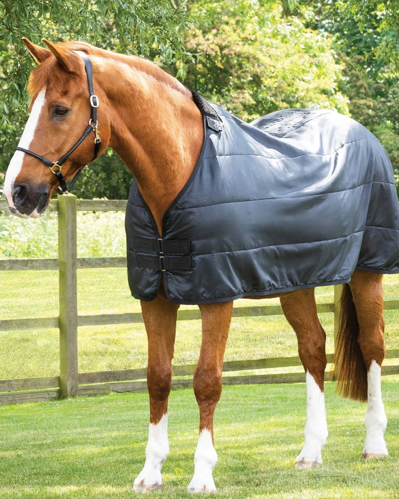 PREMIER EQUINE 100G Black Horse Rug Liner | Equiflair | Horse Blanket Layer