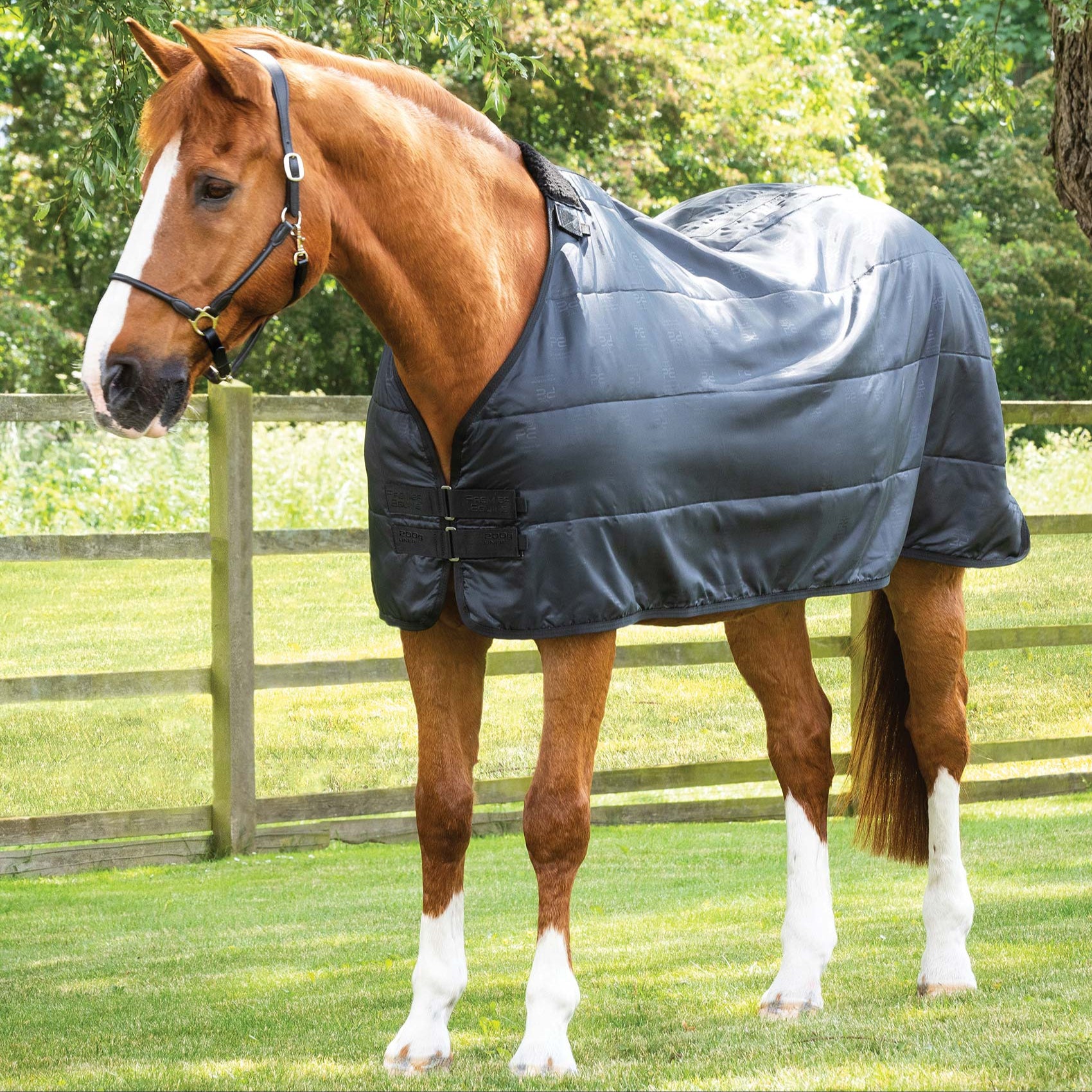 Chestnut Horse in Premier Equine 200G Black Rug Liner at Equiflair | Breathable Horse Blanket