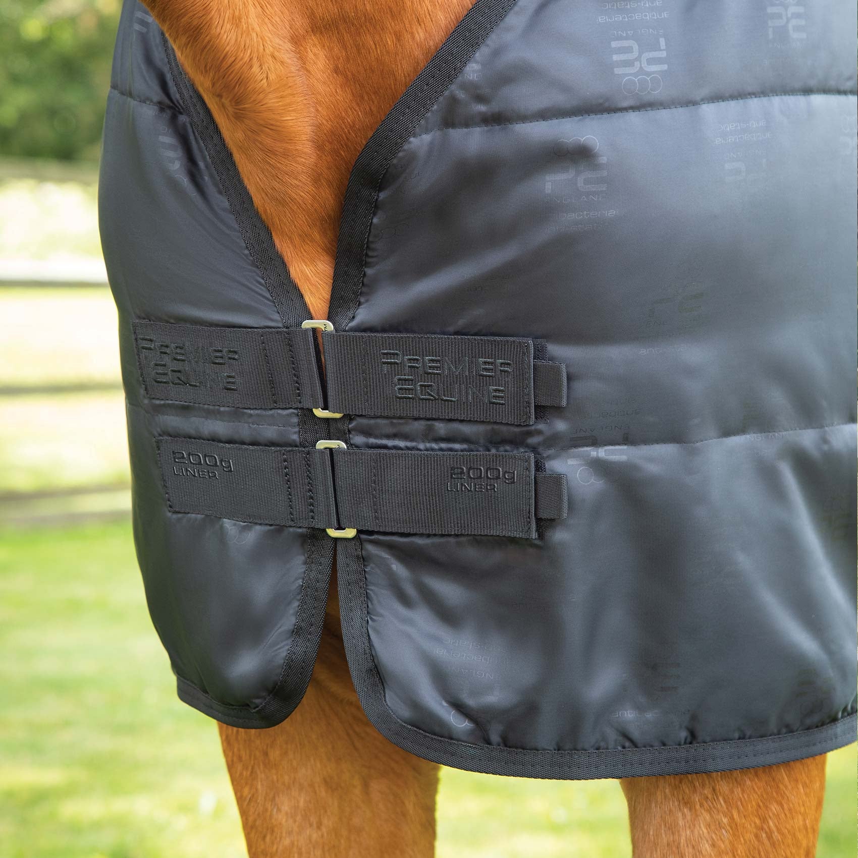 Premier Equine 200g horse rug liner in black. Close up showing attachments to horse. Quality equestrian equipment.